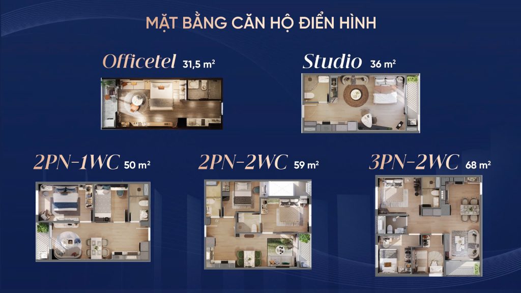 Thiết kế loại hình căn hộ Picity SkyZen